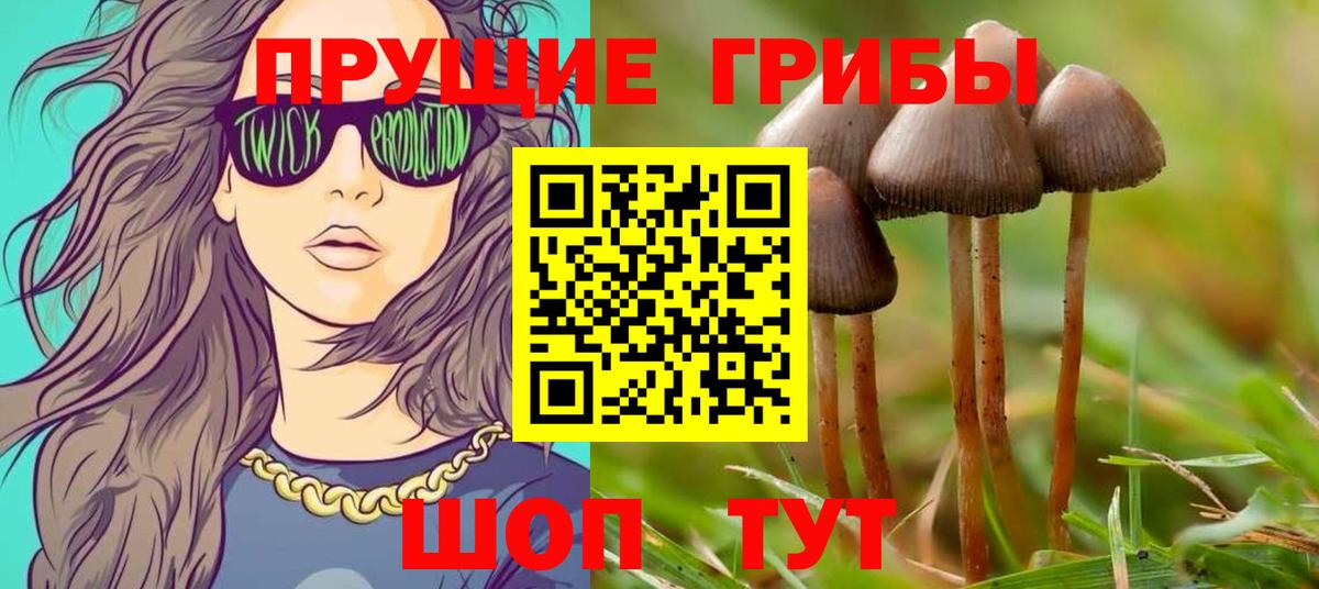 Псилоцибиновые грибы MAGIC MUSHROOMS  Вход с VPN  Свободный  Галлюциногенные грибы мухоморы 